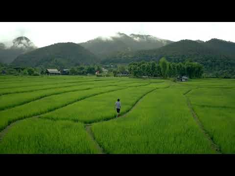 190915 A 04 Drone 12