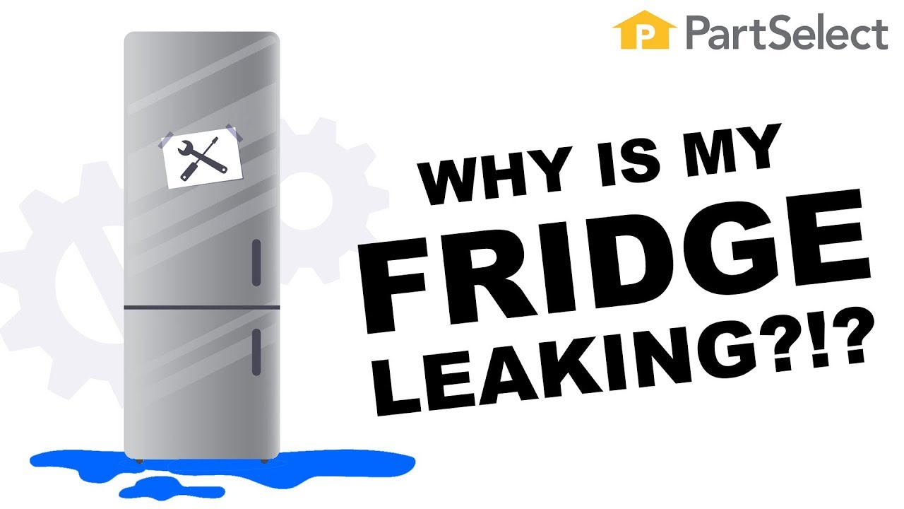 How To Fix Leaking Refrigerator Fridge Repair