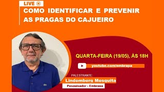 Miniatura do vídeo