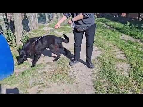 Vídeo de STORM