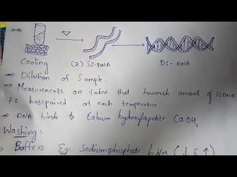 DNA REPLICATION part 1 BY PHANINDRA GUPTA