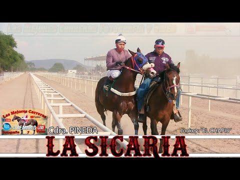 8.-La Sicaria vs El Gamito