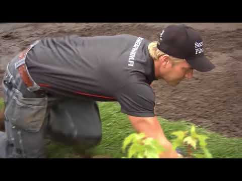 Finnurmi siirtonurmen asennus