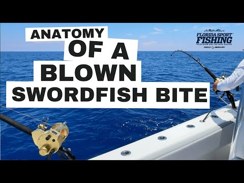 Deep Drop Tactics swordfish bite | Anatomy of a blown swordfish bite | Daytime Swordfish bite