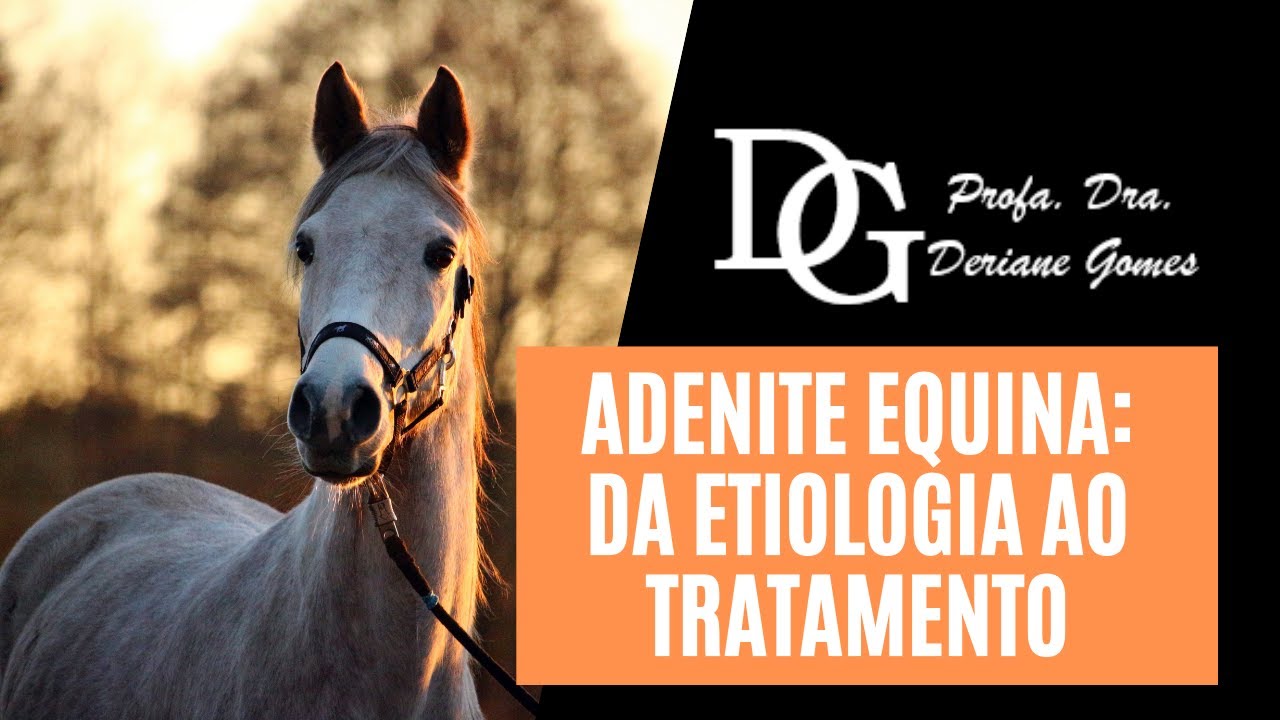 013. Adenite Equina: da Etiologia ao Tratamento