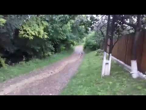 Ploaia de la Chilii Neamt