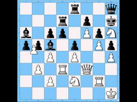 Fabian_vs_Houdini_1.5a__2011_08_05(1-0)