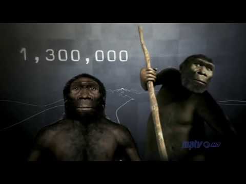 Becoming Human (Episode 1) - First Steps