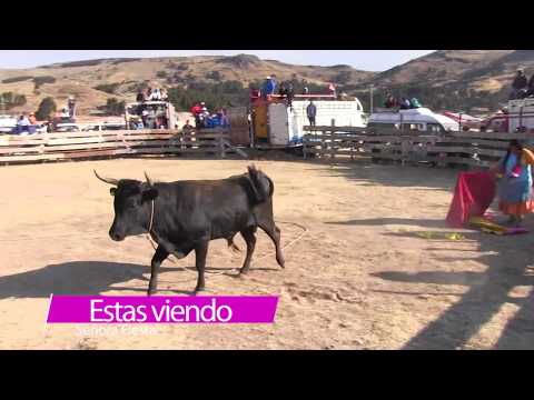 Tarde Taurina Comunidad de  Camacani