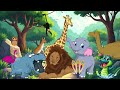The Alphabet Zoo