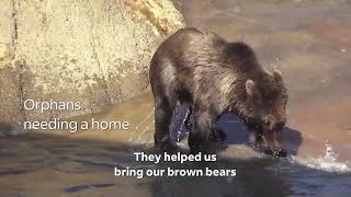 FedEx Mountain lions, jaguars, and bears, oh my!