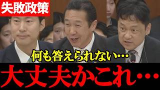 【国民・日野紗里亜】不安しかない！家事支援の国家資格化、何も答えられない政府答弁に“失敗確信”【2026年5月8日衆議院地域・こども・デジタル特委】