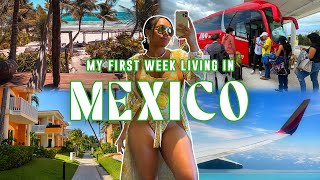 my boring first week living in Mexico: is that the CARTEL? i broke out into hives