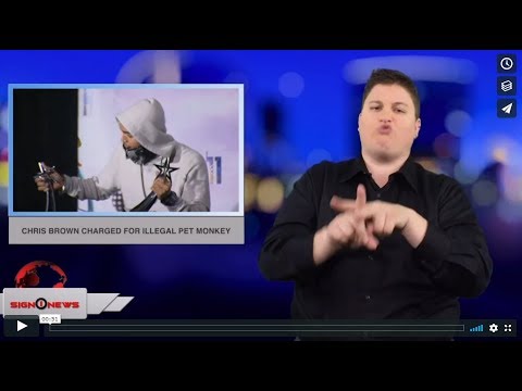 Chris Brown charged for illegal pet monkey (ASL - 12.28.18)