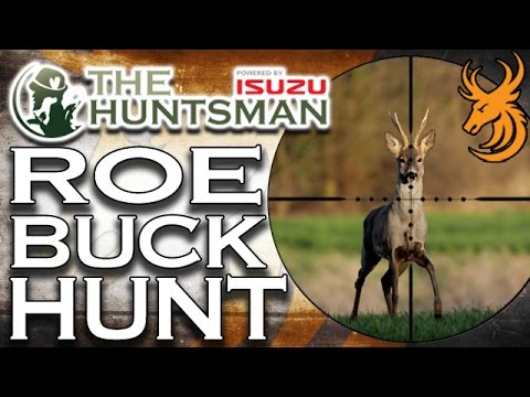 Roebuck Hunt in Hungary