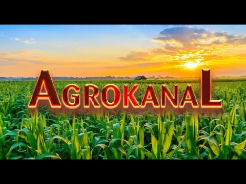 AGROKANAL RTVTK 24-07- 2021