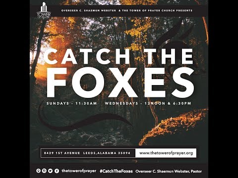 Catch the Foxes - Be Humble Or You'll Stumble - Pastor C. Shaemun Webster