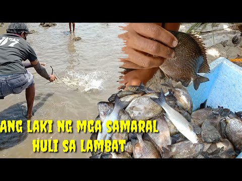 PAG PAHIBAS NG LAMBAT/ JACKPOT SA MALALAKING SAMARAL