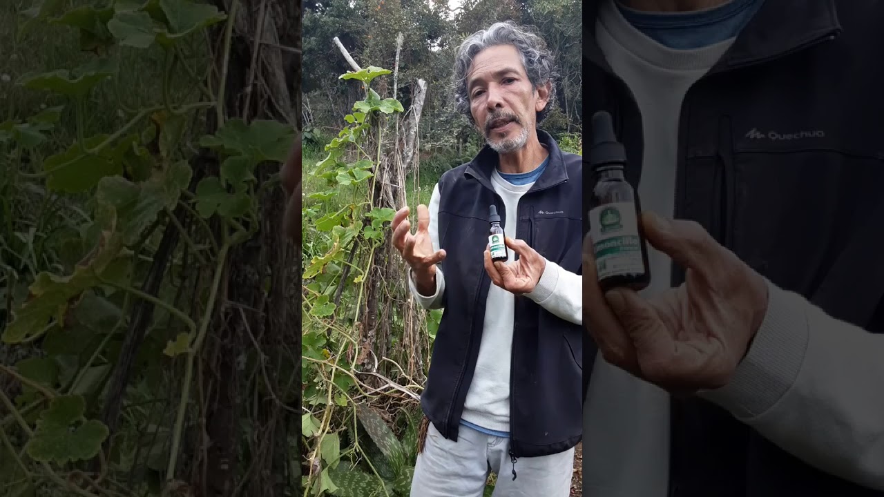 plantas para el sistema respiratorio