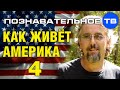 Как живёт Америка 4 (Познавательное ТВ, Максим Кузнецов) 