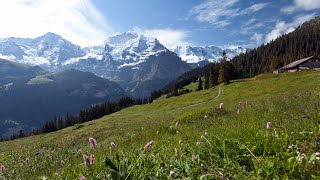 Switzerlands Jungfrau Region: Best of the Alps