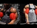 3 Minute Bicep Workout | Best Bicep Workout |