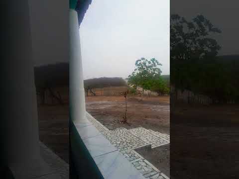 PRIMEIRA CHUVA DO ANO EM PENTECOSTE-CE #chuva #chuvas #chuvaparadormir #chuvahoje #chuvacalma #fypシ