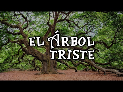 download lagu mp3 mp4 Arbol Triste, download lagu Arbol Triste gratis, unduh video klip Arbol Triste