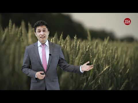 Zomerconferentie 2021 - De derde Elia in verband met de derde engel boodschap