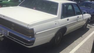 Spotted Holden WB Caprice