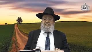 דף היומי בחצי שעה - ברכות דף ט"ו