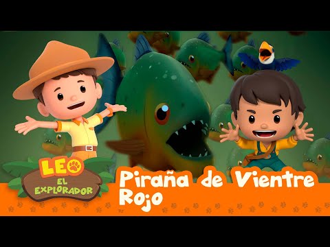Piraña de Vientre Rojo (Español)  - Leo, El Explorador Episodio | Animación - Familia - Niños