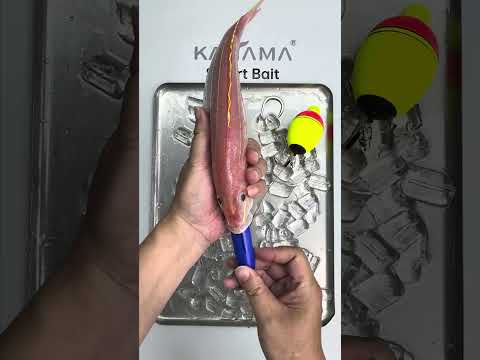 🎣 Kanama Smart Bait - Make Dead Bait Better Than Live Bait.#kanama #smartbait #釣り #fishing