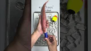 🎣 Kanama Smart Bait - Make Dead Bait Better Than Live Bait.#kanama #smartbait #釣り #fishing