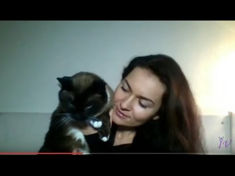 Трансляция с подписчиками. Отвечаю на ваши вопросы.