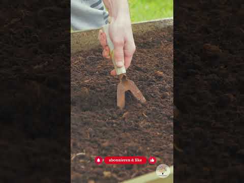 Beet matschig? In 30 Sekunden weißt du: Verdichtung oder normal! - Gartenexpedition #shorts