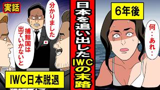 【実話】日本を追い出して６年後‥生態系が変化し、IWCも予想外の展開に‥