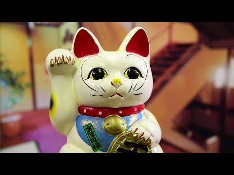 Le chat porte-bonheur