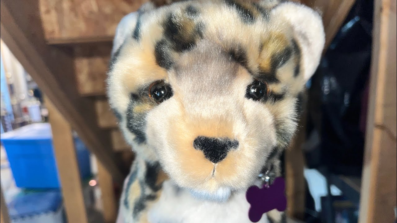 Unboxing the Douglas Spatter Leopard Cub!!