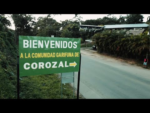 DARY PUÑOYLETRA - COROCO (Official Music Video)