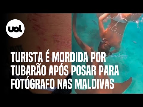 Turista é mordida por tubarão ao posar para fotógrafo submarino nas Maldivas; veja vídeo