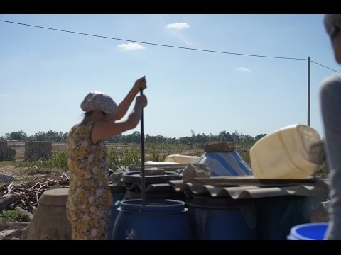 download lagu mp3 mp4 Fish Sauce Singapore, download lagu Fish Sauce Singapore gratis, unduh video klip Fish Sauce Singapore