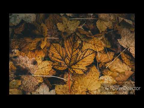 Top 10 Most Biutiful Wallpepars