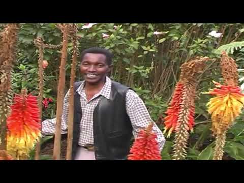 Stanley Njoroge  A.K.A Kamurigo - Ngai Tuohere