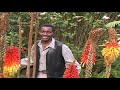 Stanley Njoroge A K A Kamurigo Ngai Tuohere