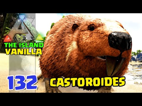 DOMANDO CASTOR NA CASA DELES! - ARK  THE ISLAND VANILLA - #132