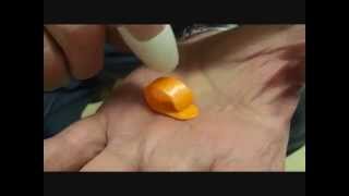 Video thumbnail for Fred Kelly Picks "SLICK PICK" thumbpick demo by Fred Kelly Picks