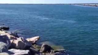 preview picture of video 'Striped Bass Fishing Hot Spot Short Wall Galilee Narragansett RI Excellent Striper Fishing Location'