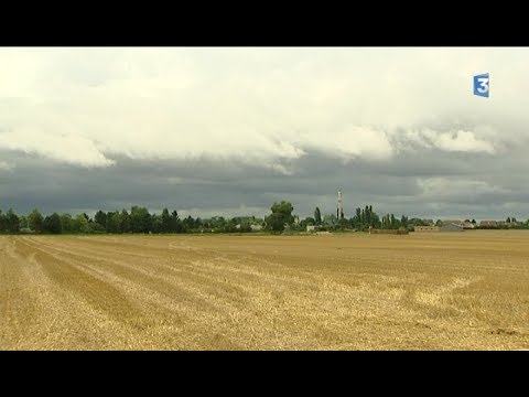 Offre d'emploi insolite, Quetigny recherche un agriculteur bio !