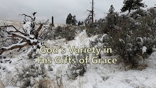 God’s Variety in His Gifts of Grace
